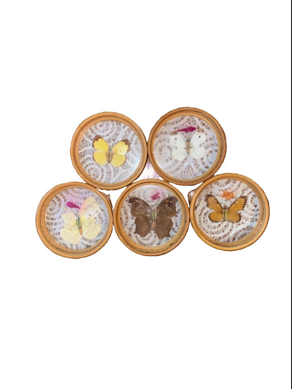 Vintage Framed Pressed Butterfly Coasters Set of 5 MCM Retro Style